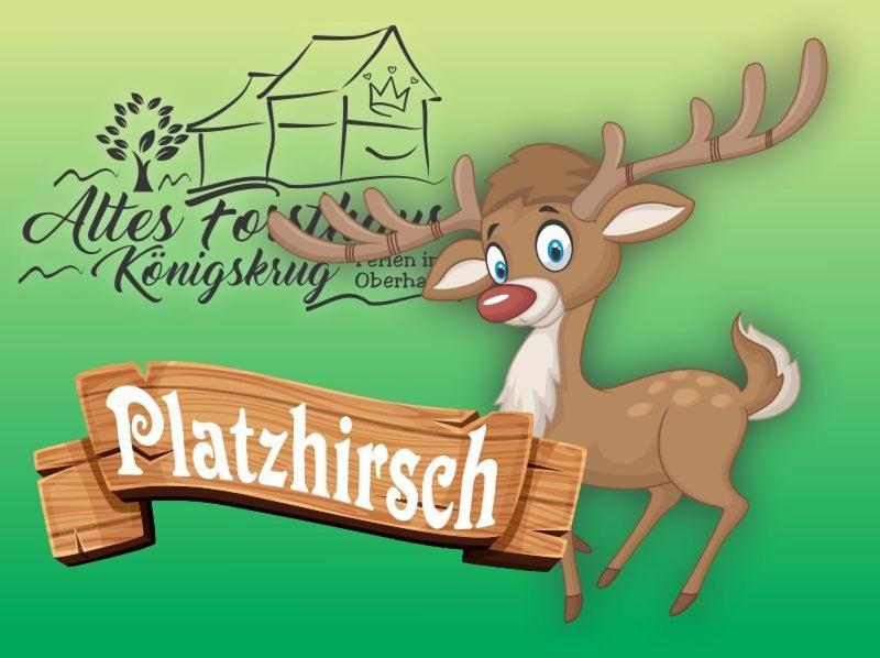 Altes Forsthaus Koenigskrug Apartment Braunlage Exterior photo